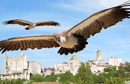 Géants du Ciel (The Giants of the Sky) — Chauvigny